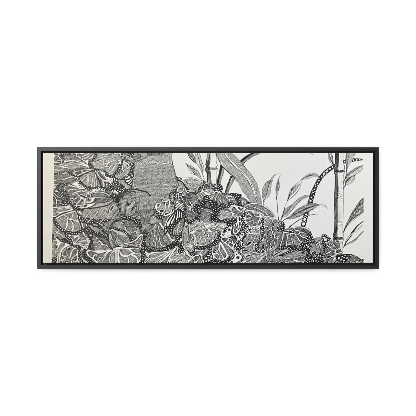 'Black Butterfly' Print-Gallery Canvas Wraps, Horizontal Frame