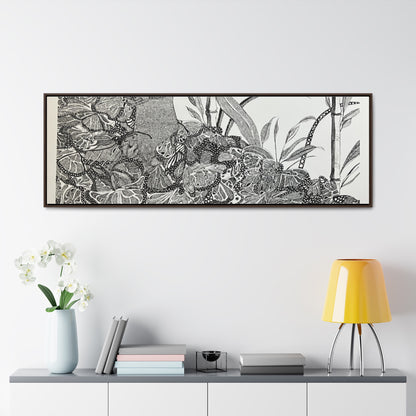 'Black Butterfly' Print-Gallery Canvas Wraps, Horizontal Frame